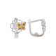 Aretes
