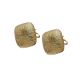 Aretes de Electroformatura