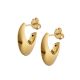 Aretes de Electroformatura