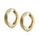 Aretes de Electroformatura