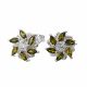 Aretes
