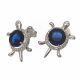 Aretes