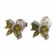 Aretes