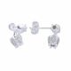 Aretes De Tulipan