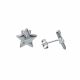 Aretes De Estrella