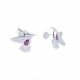Aretes De Colibri