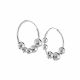 Argollas