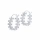 Aretes
