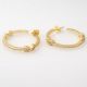 Argollas