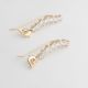Aretes