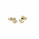 Aretes