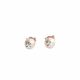 Aretes