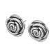 Aretes Ss Earrings