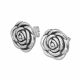 Aretes Ss Earrings