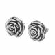 Aretes Ss Earrings