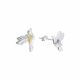 Aretes De Colibri