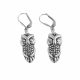 Aretes De Búho de Electroformatura