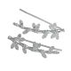 Aretes