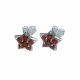PLATA 925 Aretes