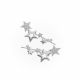 Aretes Trepadores
