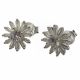 Aretes De Topito