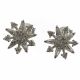 Aretes De Topito