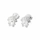 Aretes