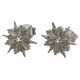Aretes De Topito