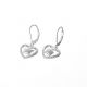 Aretes De Corazón