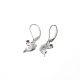 Aretes De Delfin