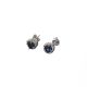 Aretes  Rodio