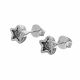 Aretes  Rodio