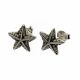 Aretes  Rodio