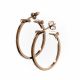 Aretes