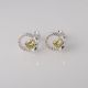 Aretes