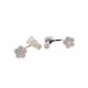 Aretes