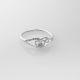 Anillo