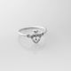 Anillo