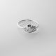 Anillo
