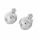 Aretes de Electroformatura