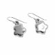 Aretes De Estrella de Electroformatura
