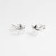 Aretes De Estrella