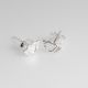 Aretes De Pies Topito