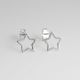Aretes De Estrella Plana De Silueta