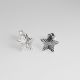 Aretes De Estrella Plana Punto Brillante