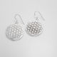 Aretes Diamantados