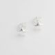 Aretes De Estrella