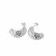 Aretes de Electroformatura
