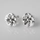 Aretes de Electroformatura