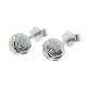Aretes